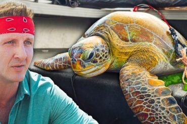 Eating Sea Turtle!! Why The Australian Tradition Continues!!