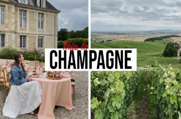 TRIP TO CHAMPAGNE | Reims and Laurent-Perrier cellar tour | FRANCE