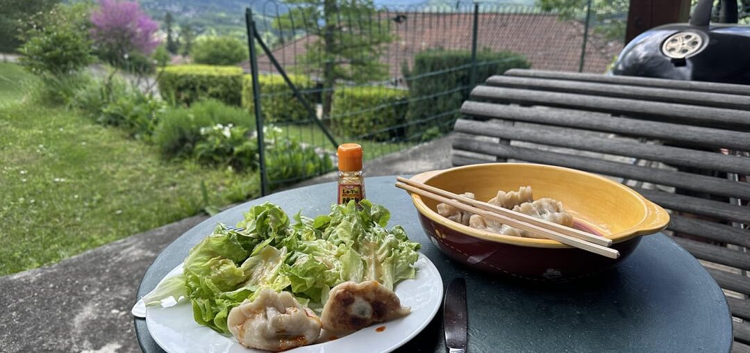 1ere tentative de gyozas 100% maison