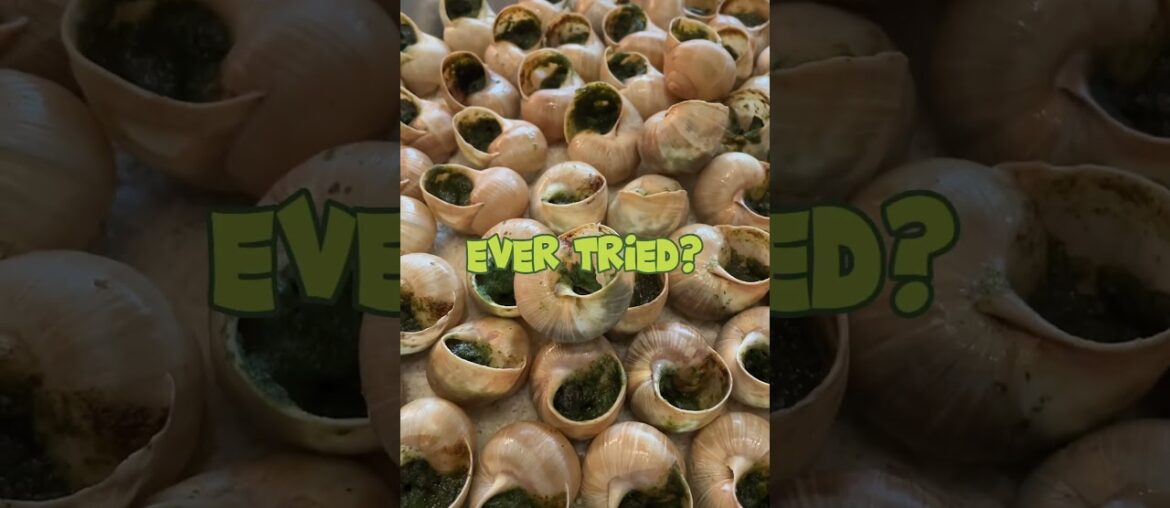 Yummy snail? #shorts #france #foodie Yummy snail? #shorts #france #foodie