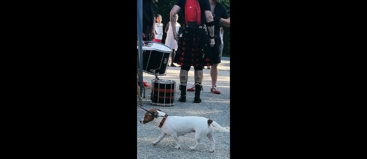 Moments from the Saint Sulpice Les Feuilles 2023 Music Festival…. Moments from the Saint Sulpice Les Feuilles 2023 Music Festival....