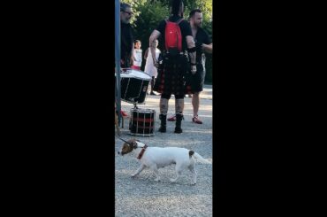 Moments from the Saint Sulpice Les Feuilles 2023 Music Festival....