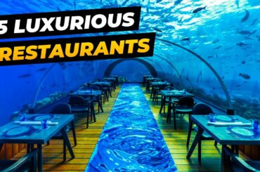 Explore the Top 5 Luxurious Restaurants of 2023 : Beyond Imagination