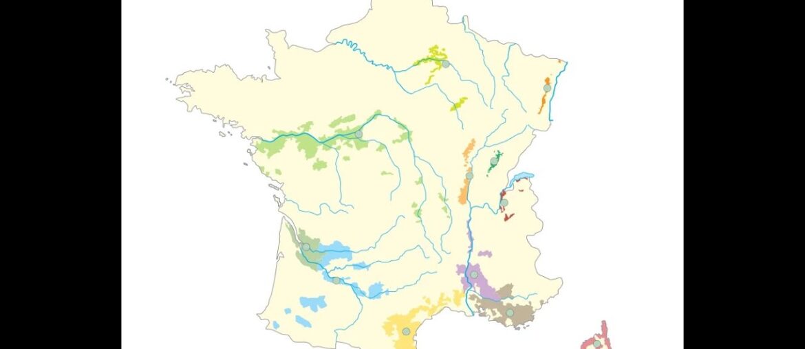 Seterra - French Wine Regions: 11.045