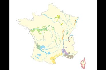 Seterra - French Wine Regions: 11.045
