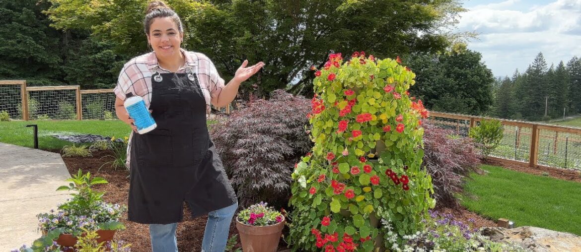 Around the house happenings and Farmer's Market Shop With Me!