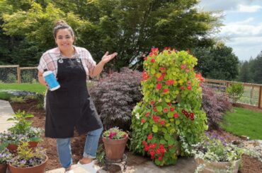 Around the house happenings and Farmer's Market Shop With Me!