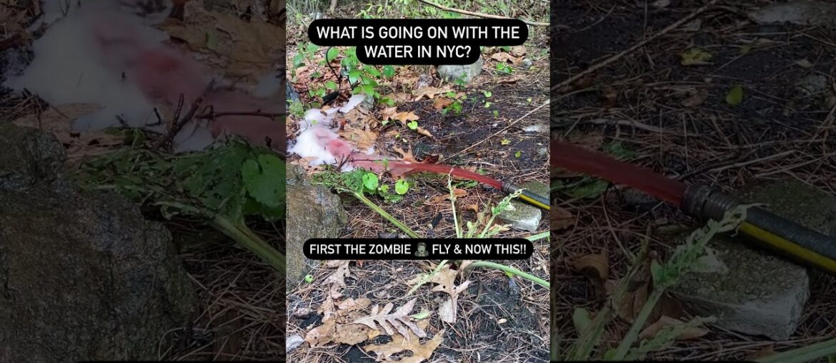 Red Water in #nyc ! Why? #reaction #shorts #comedy #tiktok #funny #shortvideo #viral #youtubeshorts