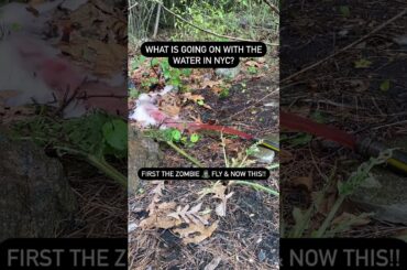 Red Water in #nyc ! Why? #reaction #shorts #comedy #tiktok #funny #shortvideo #viral #youtubeshorts