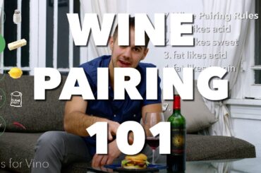 Wine Pairing 101 | Super Easy Food and Wine Pairing from V is for Vino