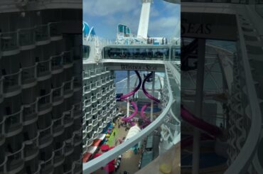 Morning Bliss: Breakfast with a View on Royal Caribbean #cruise #carnival #cruiseship #travel