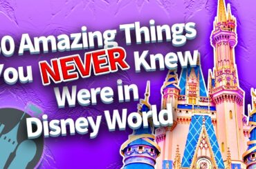50 Amazing Things You Never Knew Were in Disney World