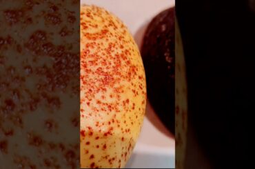 French Red Wine Law #03 Appellation Conned, AA fun