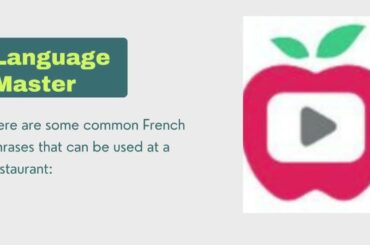 French phrases for conversation for beginners | Common French Sentences for Restaurant Conversation