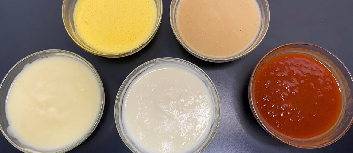 5 Mother Sauces / basic and classical cuisine