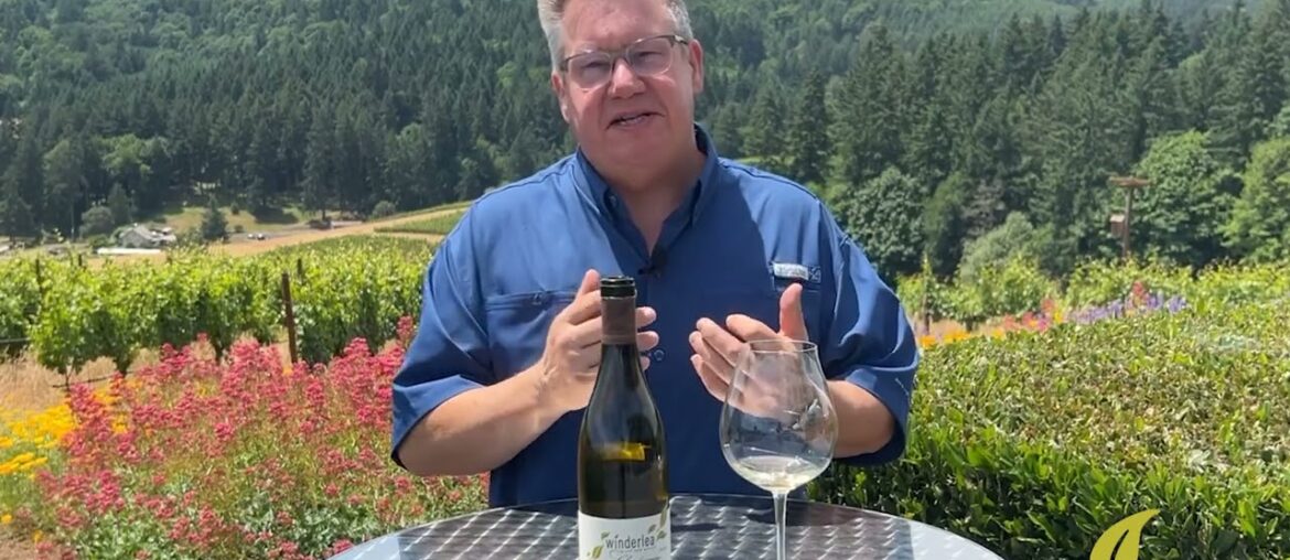 2019 Winderlea Chardonnay Tasting Notes 2019 Winderlea Chardonnay Tasting Notes