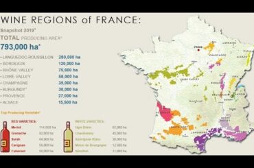 Love French Red Wine,Fun, Paired,know,how,where, Absolute Amateurs,tasting guide,cuisine,cook,recipe