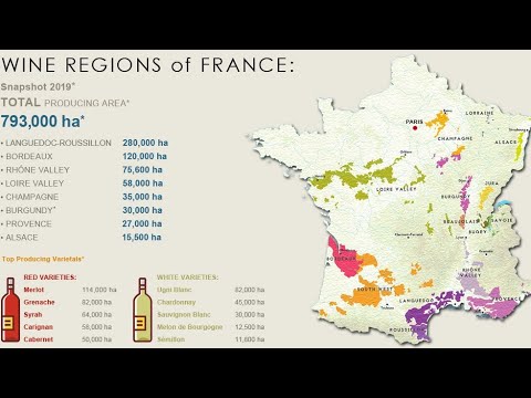 Love French Red Wine,Fun, Paired,know,how,where, Absolute Amateurs,tasting guide,cuisine,cook,recipe Love French Red Wine,Fun, Paired,know,how,where, Absolute Amateurs,tasting guide,cuisine,cook,recipe