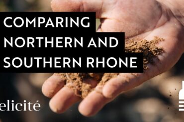 The Sub-Regions of The Rhone Valley: The Northern and Southern Rhone