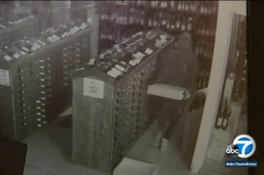 Thief breaks into Venice wine store through roof, steals more than 600 top-of-the-line bottles