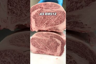 A5 BMS12 Wagyu Perfection! #steak