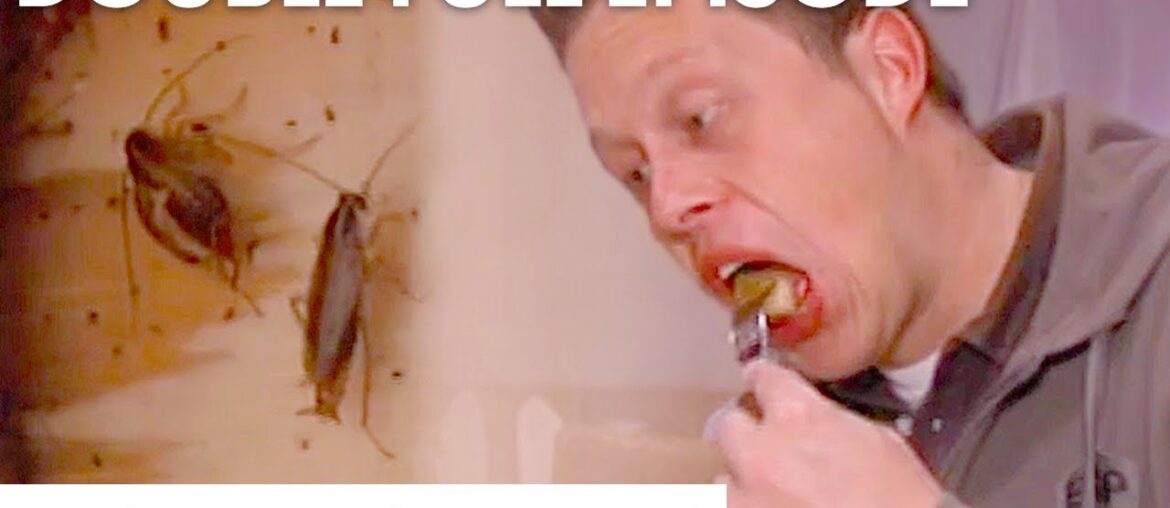 Gordon Finds Cockroaches And Rat Droppings | Kitchen Nightmares