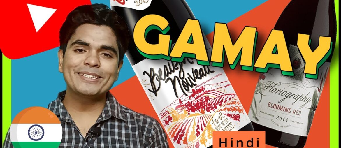 Discovering the Delights of Gamay Wine Grape | A Guide to its Flavors, Origins and food pairing.