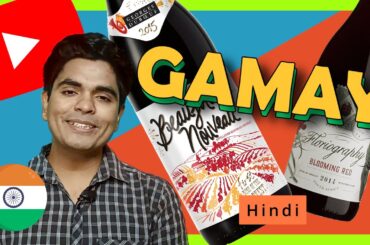 Discovering the Delights of Gamay Wine Grape | A Guide to its Flavors, Origins and food pairing.