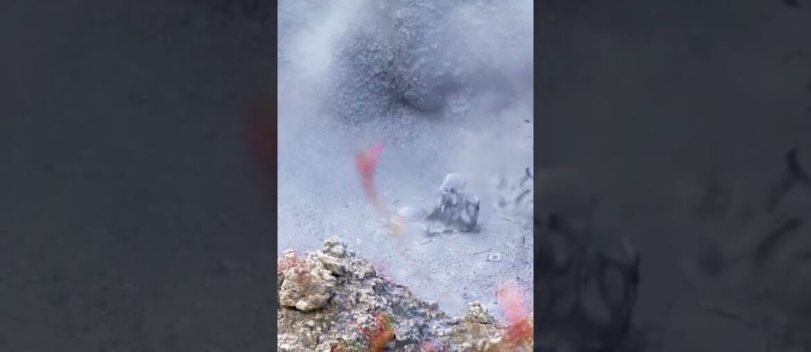 Castries, St. Lucia: A Culinary Delight