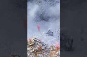 Castries, St. Lucia: A Culinary Delight