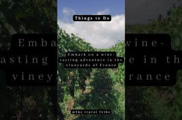 One of the Best Places for my adventures who love wine! #travel #wine