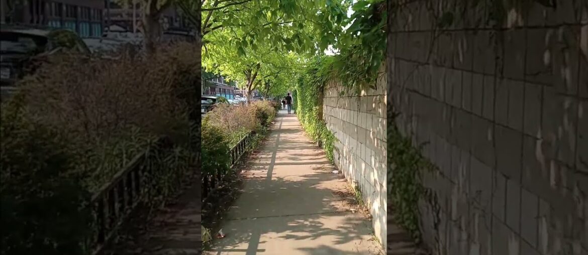 Downtown Chicago | Fulton Market | Chicago Illinois USA #7 Downtown Chicago | Fulton Market | Chicago Illinois USA #7