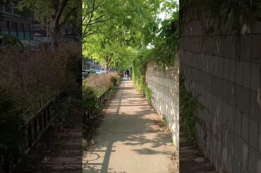 Downtown Chicago | Fulton Market | Chicago Illinois USA #7