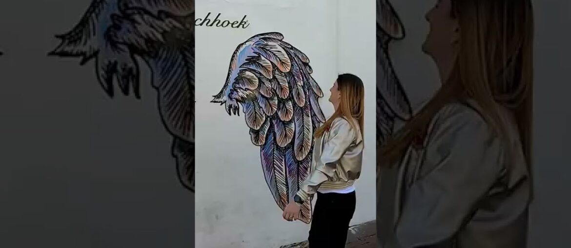 Franschhoek Bastille Festival Wine 2022  #shorts #bastille #festival #french #wine #cheese #capetown