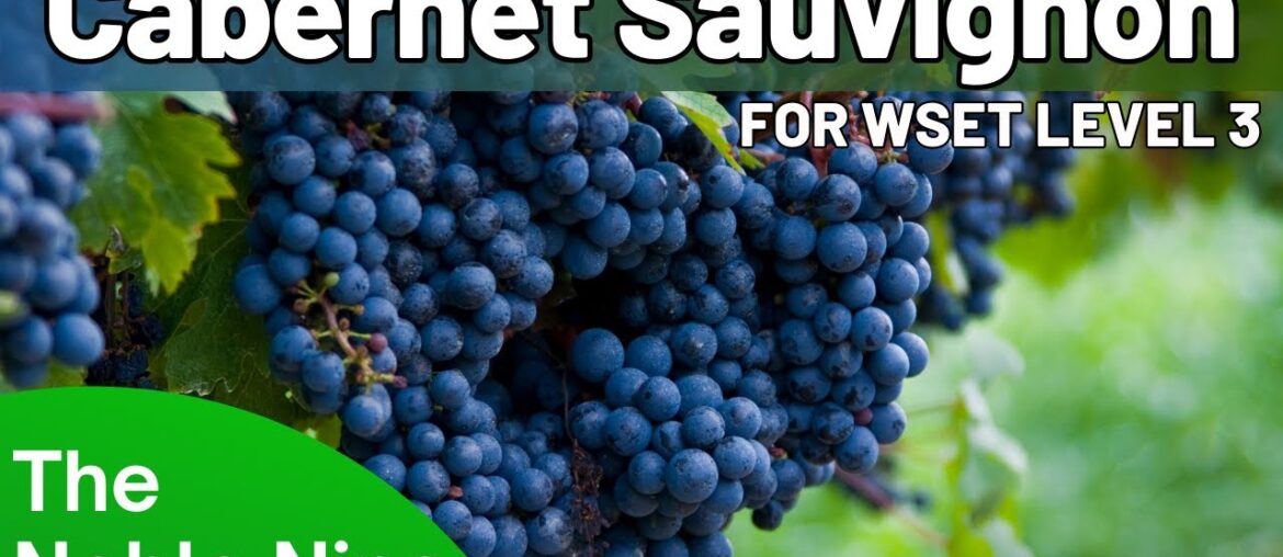 The Noble Nine - Cabernet Sauvignon For WSET Level 3