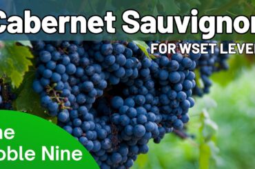The Noble Nine - Cabernet Sauvignon For WSET Level 3