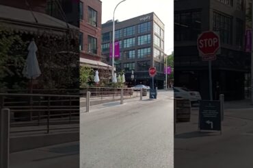 Downtown Chicago | Fulton Market | Chicago Illinois USA #9