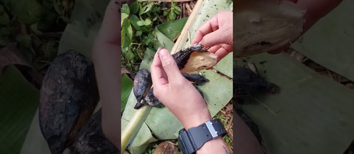 Toasted banana :) #shorts #banana #bananas Toasted banana :) #shorts #banana #bananas