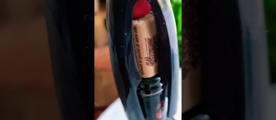 French Red Wine Endangered  Varieties new world life #11 Absolute Amateurs