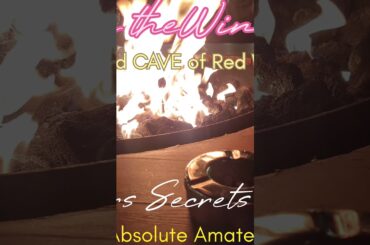 French Red Wine, Liquid Cash, #13 Pay Kings Taxes, Tasting