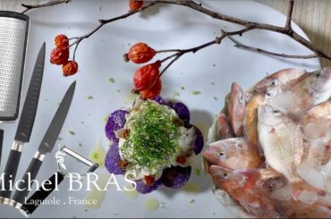 Akashi Sea Bream: Chef Aihara on the Benefits of the Japanese Ikejime & Shinkeijime Treatments