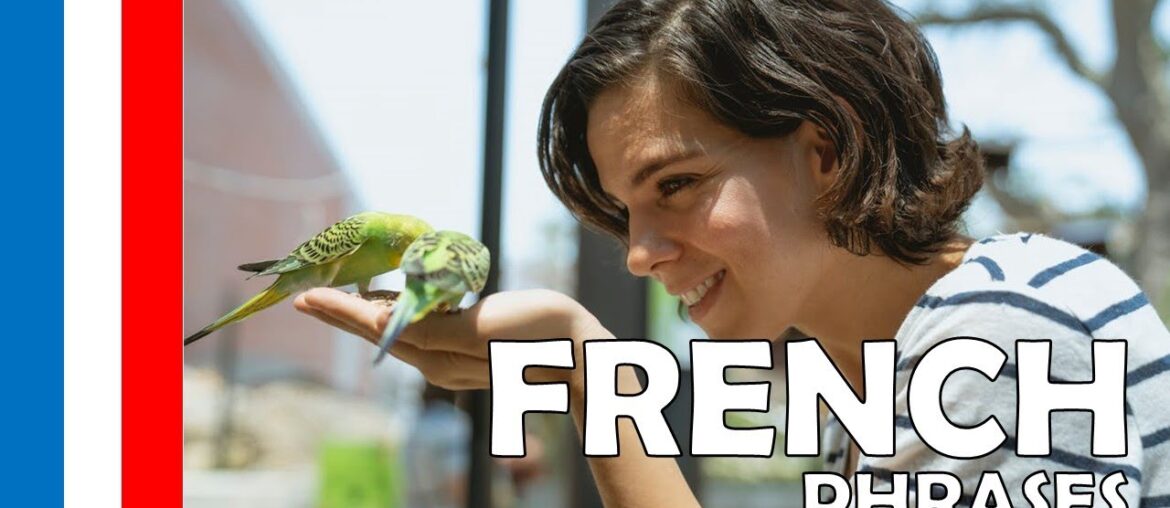 Your Daily 30 Minutes of French Phrases # 609 Your Daily 30 Minutes of French Phrases # 609