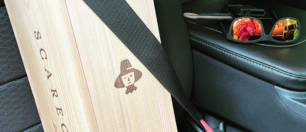 Sometimes he gets lonely and I have to take him for a spin…