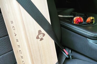 Sometimes he gets lonely and I have to take him for a spin…