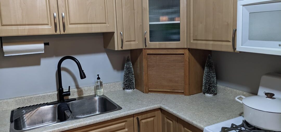 Thoughts on what colour to match cabinets and appliances