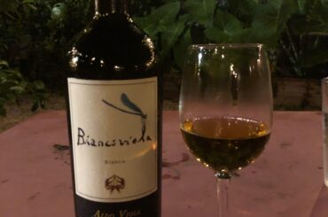 Saint germain in New Orleans has such a great wine selection. This aldo is a stunner, chestnut tropical goodness!