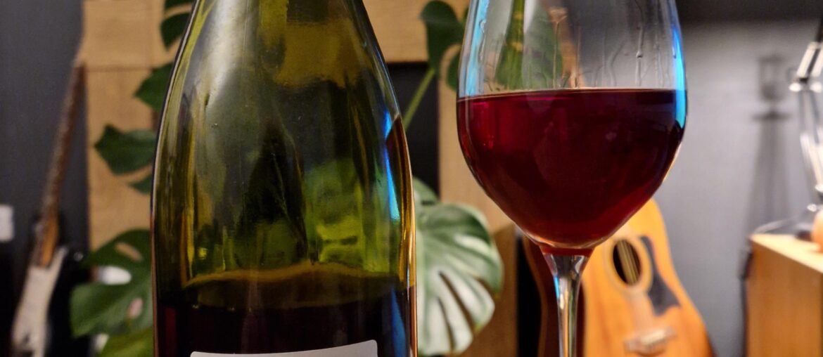 Anders Frederik Steen - RdT (2019)