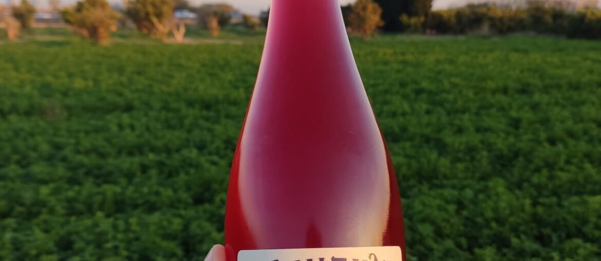 ESTO NO ES VINO / THIS IS NOT WINE