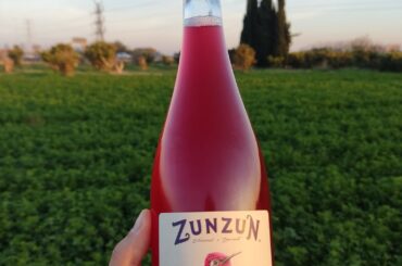 ESTO NO ES VINO / THIS IS NOT WINE