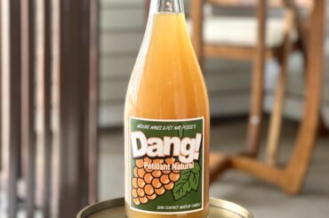 Pét Nat Posse x Ardure - DANG!